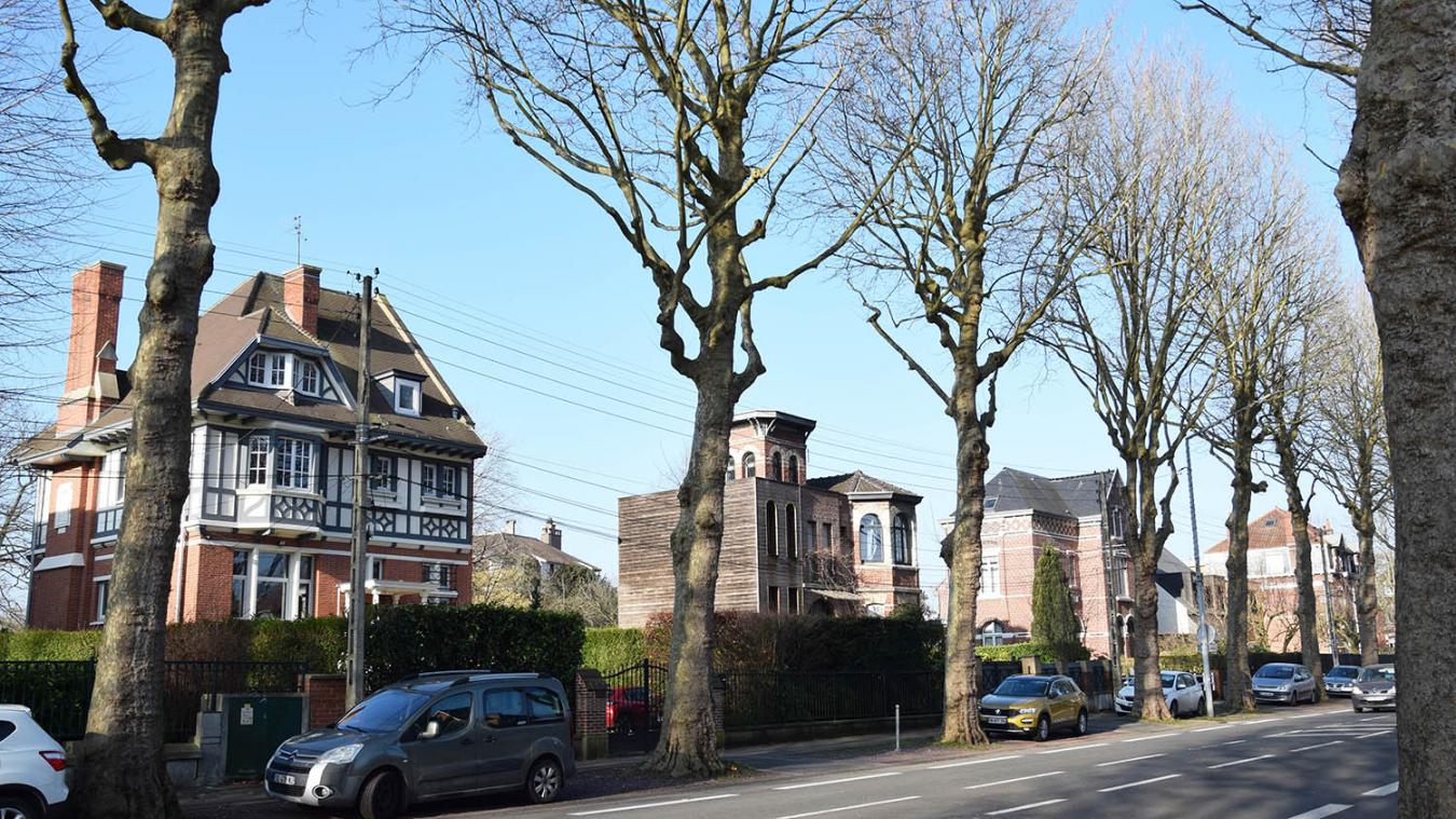 Rue résidentielle arborée à Lambersart avec maisons et véhicules stationnés